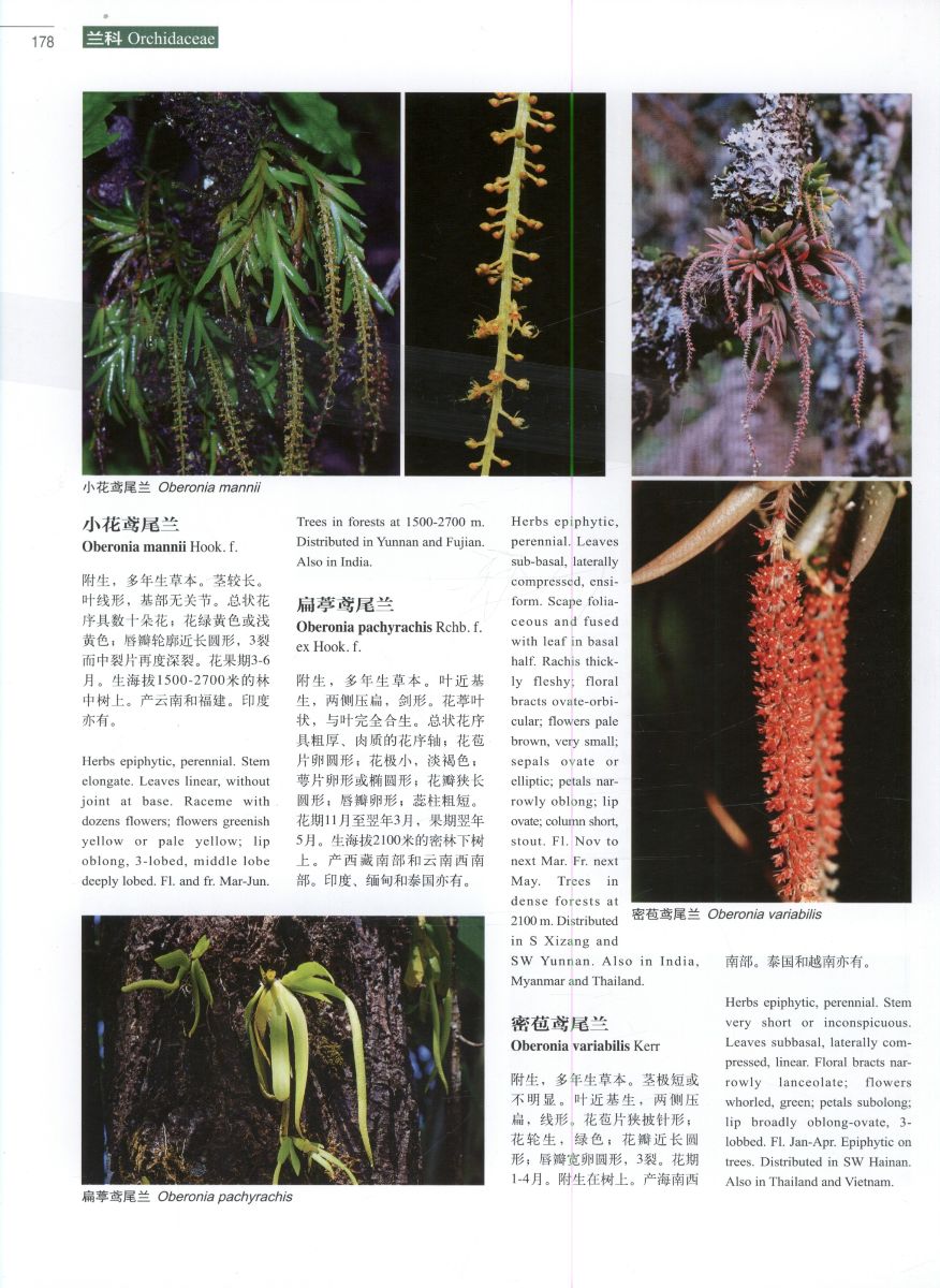 Higher plants of China in colour: Volume IX Angiosperms: Taccace - Click Image to Close