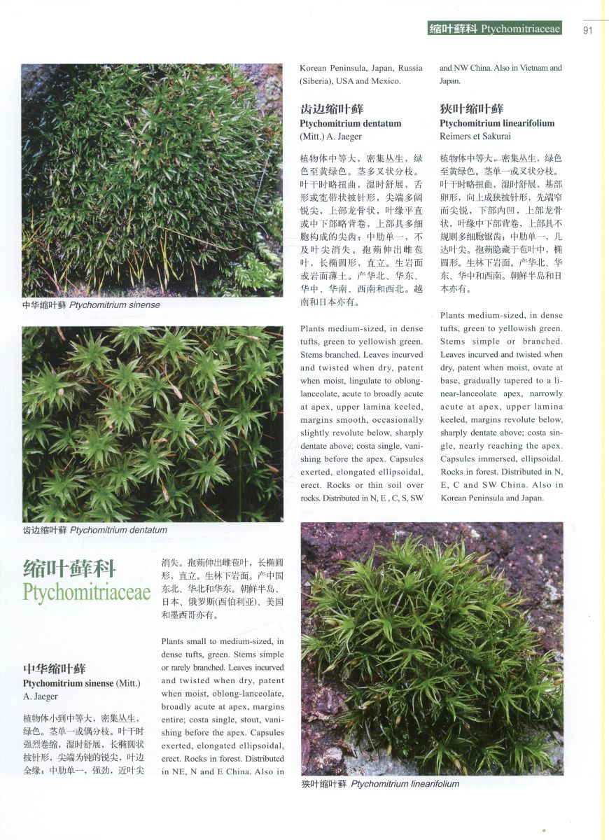 Higher plants of China in colour: Volume I Bryophytes - Click Image to Close