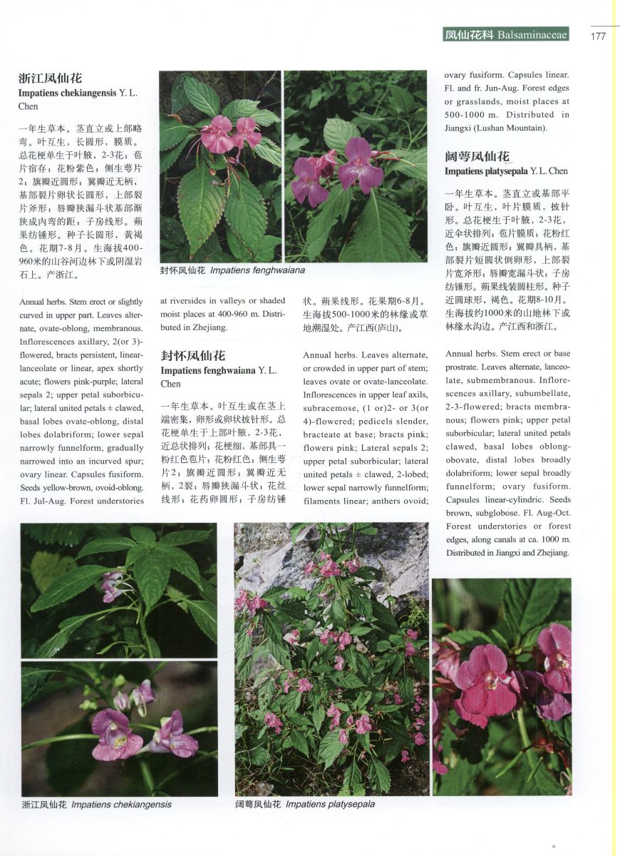 Higher plants of China in colour: Volume V Angiosperms Euphorbi - Click Image to Close