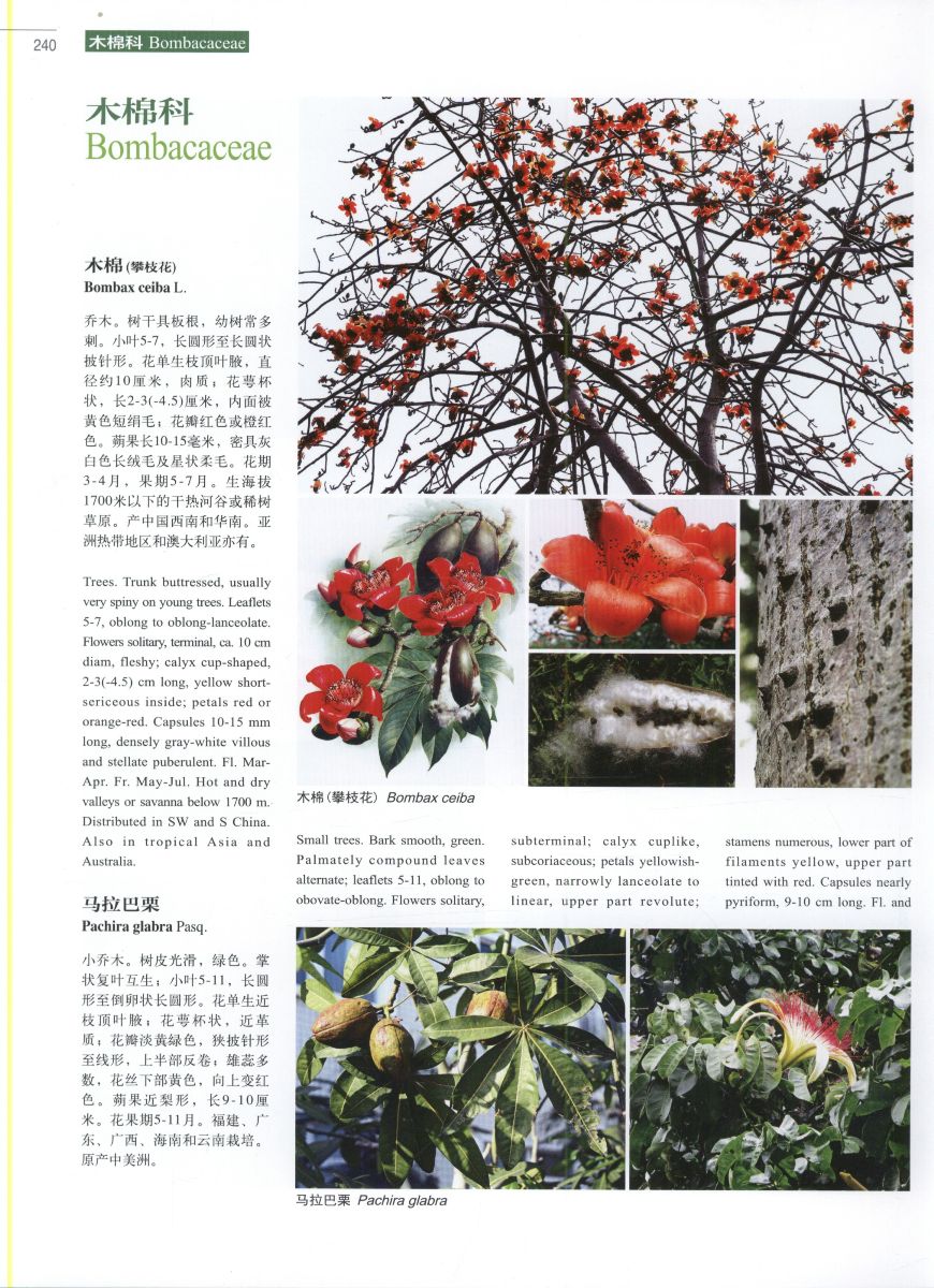 Higher plants of China in colour: Volume V Angiosperms Euphorbi