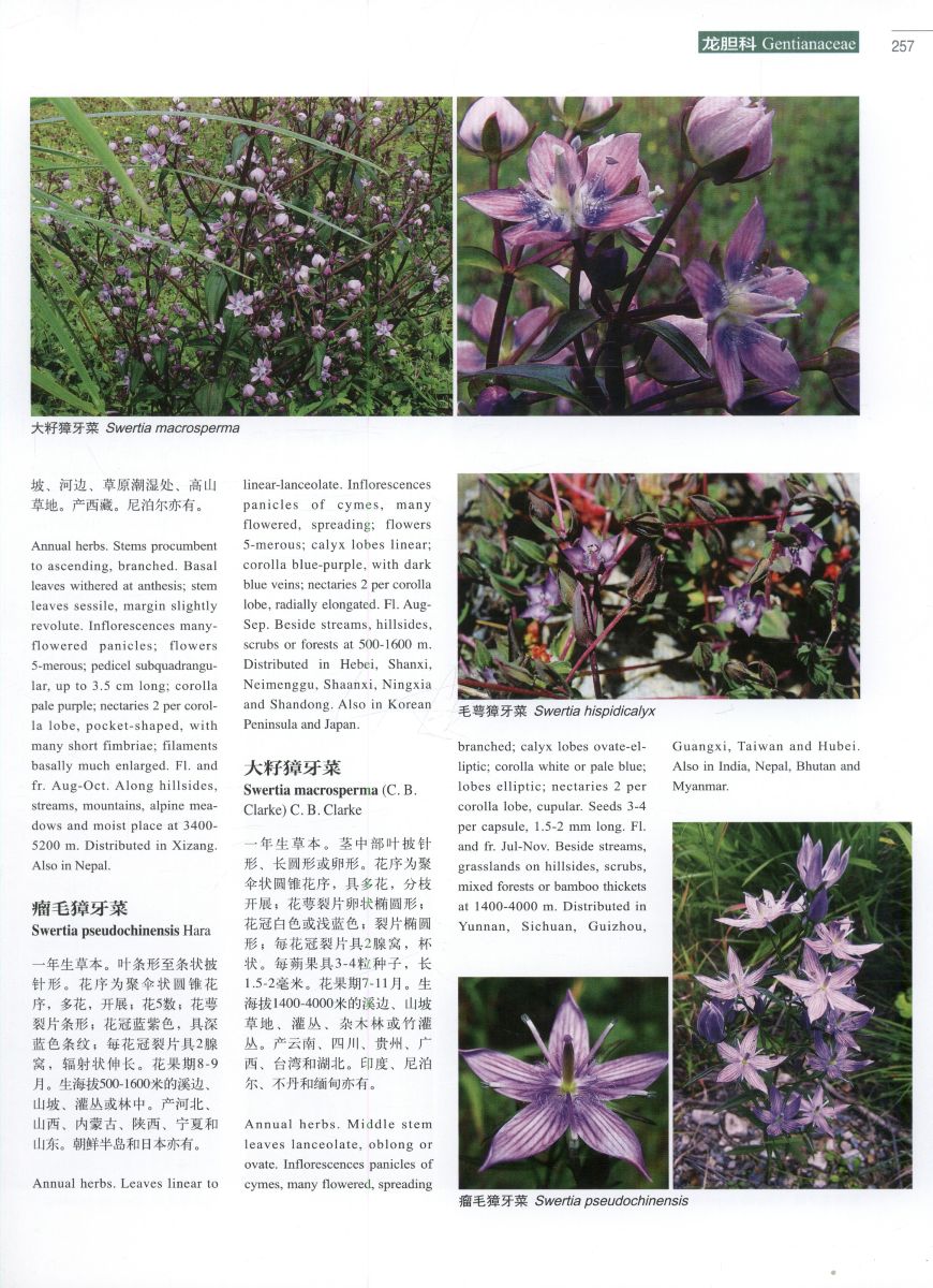 Higher plants of China in colour: Volume VI Angiosperms: Diapens