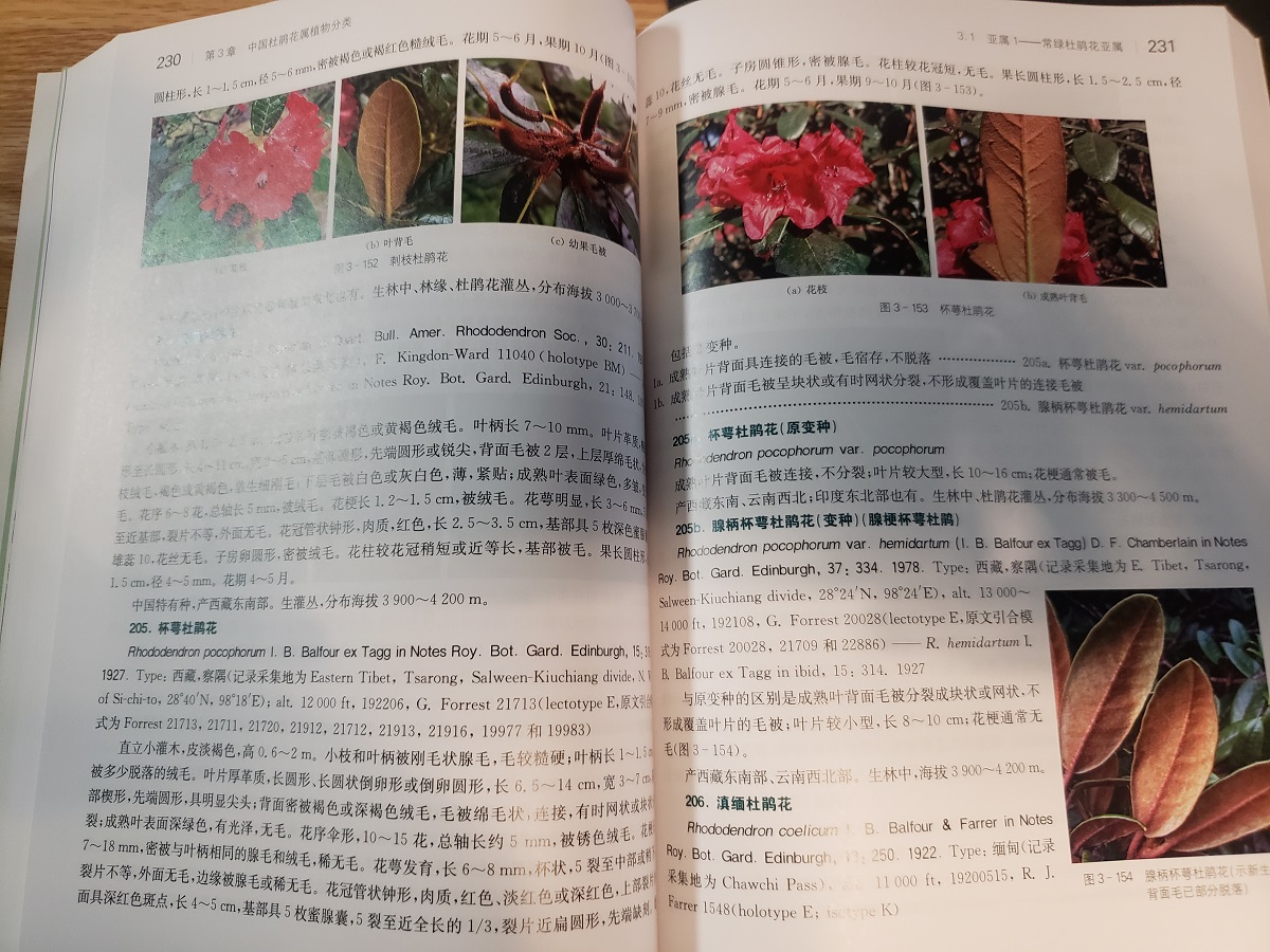The Genus Rhododendron of China