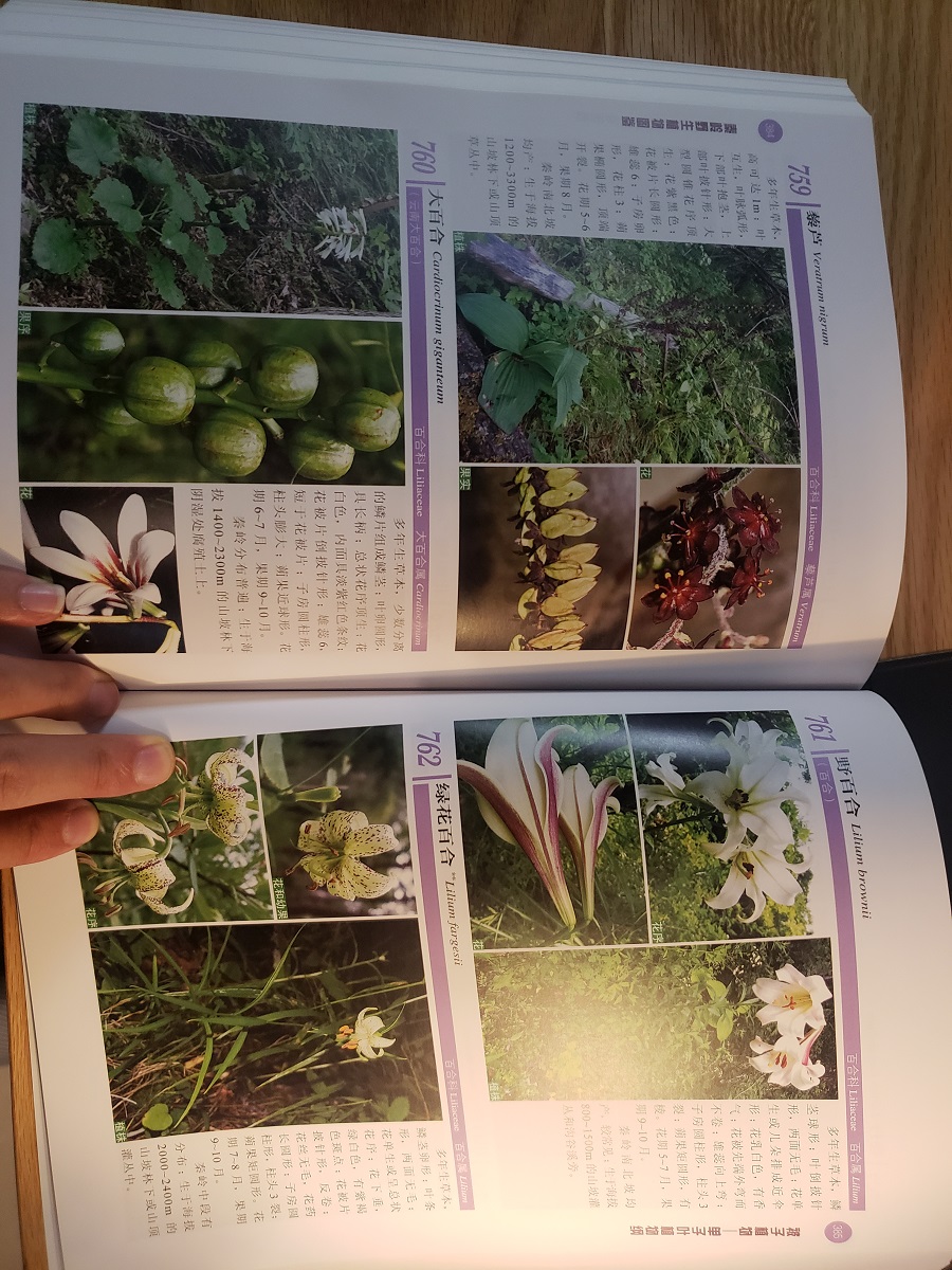 Illustrated handbook of wild plants in Qinling mountains