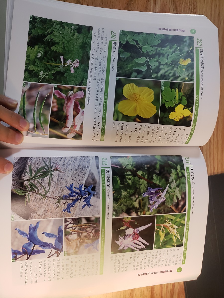 Illustrated handbook of wild plants in Qinling mountains