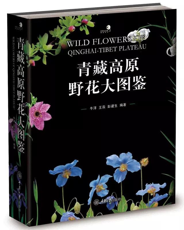 Wild Flowers of Qinghai-Tibet plateau