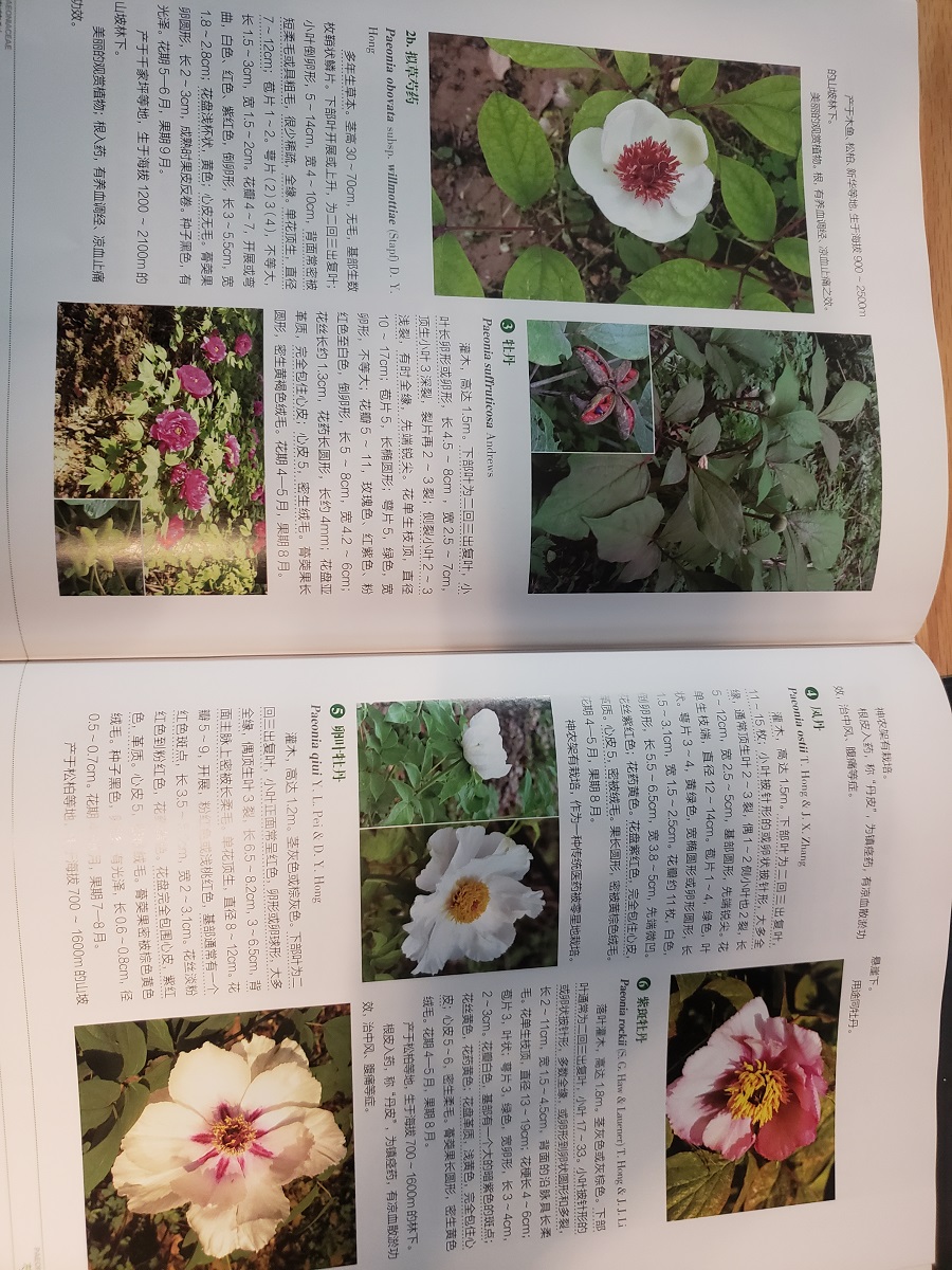 Plants of Shennongjia（vol.3）